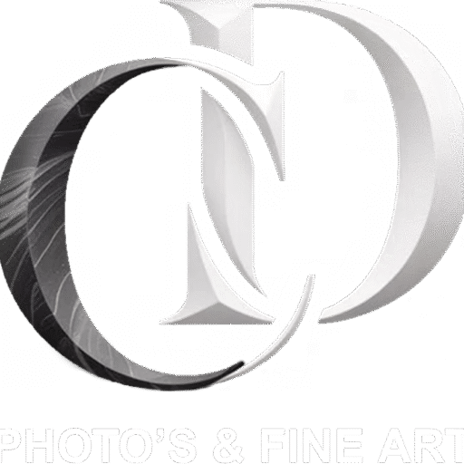 CD Photo's & Fine Art