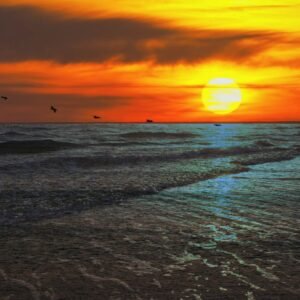 In the Wake of Silence