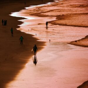 Low Tide, Full Heart