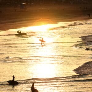 Where The Light Touches