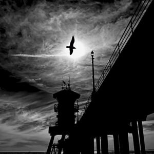 Flight through the Silence