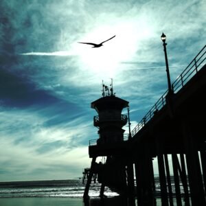 Where Light Remains HB PIER